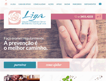 Tablet Screenshot of ligaccbg.com.br
